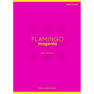 Füzet A5 kockás Shkolyaryk 27-32 60lap, Neon, vegyes SB605401K