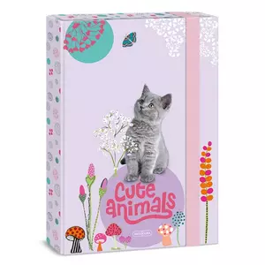 Füzetbox A4 Ars Una 24' Cute Animals-kitten(5368) 50853687
