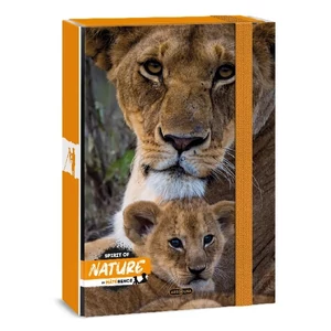 Füzetbox A4 Ars Una 24' Máté Bence-Lion (5433) Prémium minőség