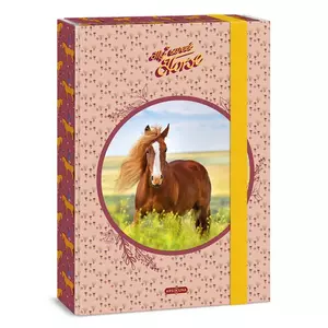 Füzetbox A4 Ars Una 24' My Sweet Horse (5358) 50853588