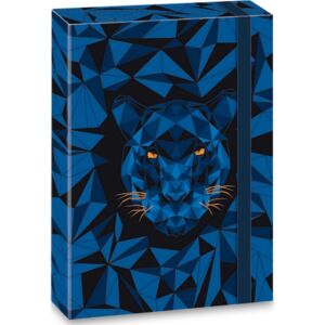 Füzetbox A4 Ars Una Black Panther (5082) 21