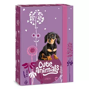 Füzetbox A4 Ars Una Cute Animals puppy(5369) 24 TACSKÓ 50853694 prémium