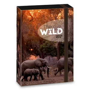 Füzetbox A4 Ars Una The Eyes Of The Wild - Elephant (5217) 2 50852178 prémium