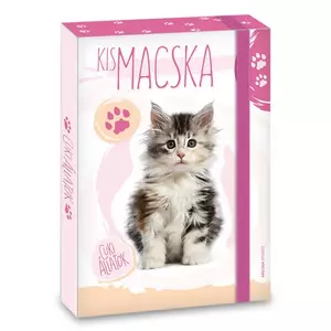Füzetbox A5 Ars Una Cuki-Macska (5106) 21 50861064 prémium