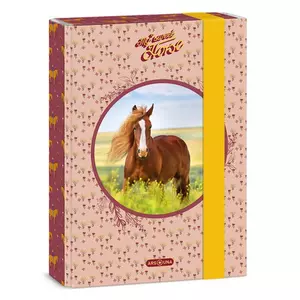 Füzetbox A5 Ars Una My Sweet Horse(5358) 24 50863587 prémium