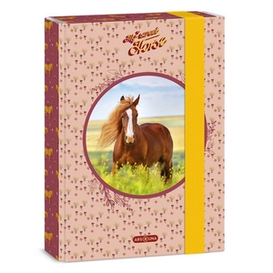 Füzetbox A5 Ars Una My Sweet Horse(5358) 24 ló 50863587 prémium
