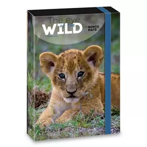 Füzetbox A5 Ars Una The Eyes Of The Wild - Lion (5216) 22 50862160 prémium