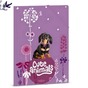 Gumis mappa A4 Ars una 24' Cute Animals-puppy (5369) TACSKÓ 50213696