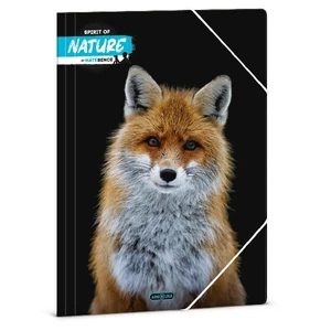 Gumis mappa A4 Ars Una 24' Máté Bence-Fox (5388) Prémium minőség
