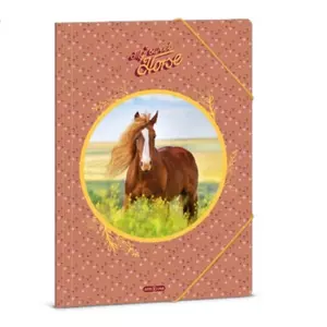 Gumis mappa A4 Ars una 24' My Sweet Horse (5358) 50213580