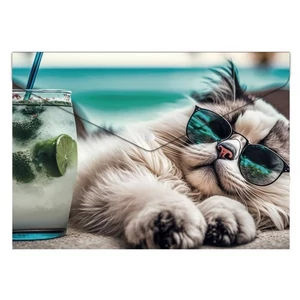 Irattartó tasak A5 Panta Plast PP, patentos 180 mikron Chillout cat INP0410006954