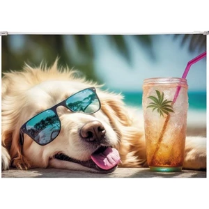 Irattasak A4 Panta Plast PP, cipzáras, 180 mikron, Chillout dog INP0410006353