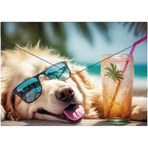 Irattasak A5 Panta Plast PP, patentos, 180 mikron,Chillout dog INP0410006953