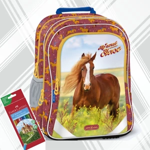 Ars una iskolatáska ErgoFit 24 ergo-fit My Sweet Horse (5358) 24literes 56173581 prémium 3év garancia ló