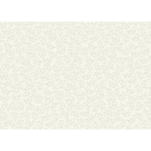 Karton HEYDA (50x70) 220g Firenze krém  204772290