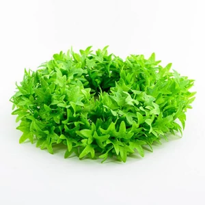 Koszorú 30cm borostyán