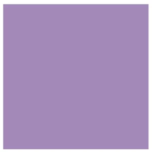 Kreatív papír 50x70 Canson Colorline 220g 17 orgona lila 