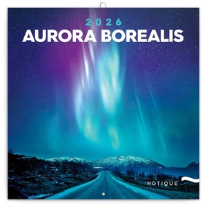 Falinaptár 2026 AuroraBorealis 6097-AB lemeznaptár 30×30cm Realsystem 2026 kollekció!