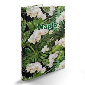 NapLó B/5 5601-60 pictureturenapló tropictureal Realsystem 2026 kollekció!