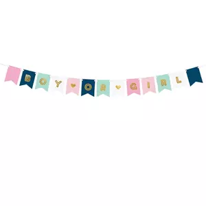 Party banner Boy or Girl, 15x175cm