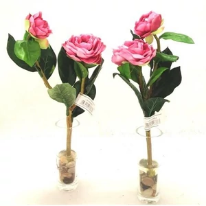 Ranuncuéus Üvegpohárban Ranonculus üvegben, 28cm ,