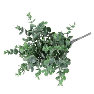 Selyemvirág - művirág Eucalypthus L frost SDDST53