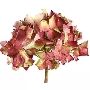 Selyemvirág - művirág hortenzi Hydrangea rd L pink 63cm Holland