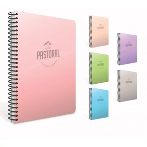 Spirálfüzet A4 Gipta Pastoral PP fedlap 200 lapos kockás 5555