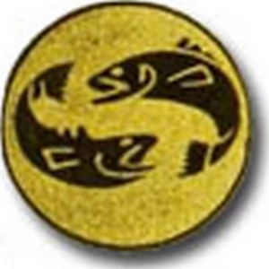 Sportérem betét BK090 25mm-es betét érem nélküli Horgászat Az ár az érmet nem tartalmazza!