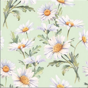 Szalvéta 25x25cm Beautiful daisies green 20db-os