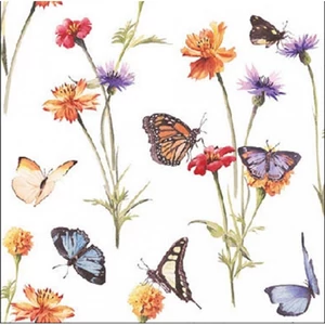 Szalvéta 25x25cm Butterfly garden white 20db-os