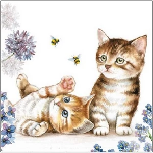 Szalvéta 25x25cm Cats and Bees 20db-os