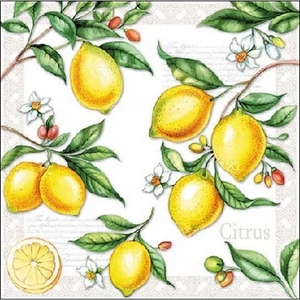 Szalvéta 25x25cm Citrus 20db-os