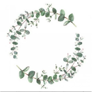 Szalvéta 25x25cm Eucalyptus Branch White 20db-os