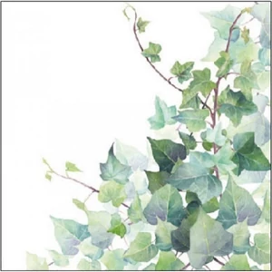 Szalvéta 25x25cm Hedera White 20db-os