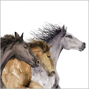 Szalvéta 25x25cm Hoof Beats  20db-os