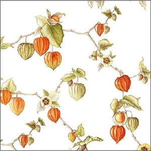 Szalvéta 25x25cm Lampion 20db-os