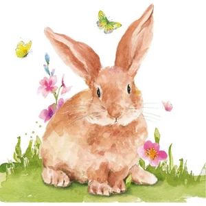 Szalvéta 25x25cm Mr.Rabbit 20db-os
