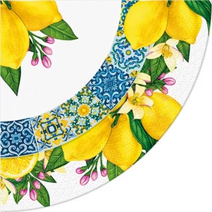 Szalvéta 32cm Citrus Circle 12 db-os 
