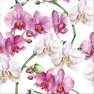 Szalvéta Ambiente Elegance Elegant orchids white papír papírszalvéta 33x33cm,20db-os