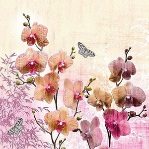 Szalvéta Ambiante Orchid Orient papírszalvéta 33x33cm,20db-os