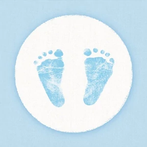 Szalvéta 33x33cm Baby Steps Boy 20db-os