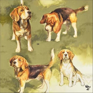 Szalvéta 33x33cm Beagles 20db-os
