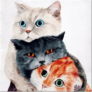 Szalvéta 33x33cm Better Together 20db-os