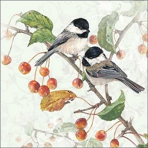 Szalvéta 33x33cm Chickadee 20db-os