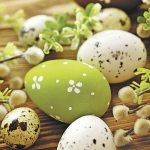 Szalvéta 33x33cm Eggs among Catkins 20db-os