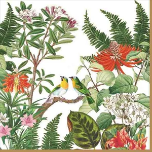 Szalvéta 33x33cm Exotica,20db-os
