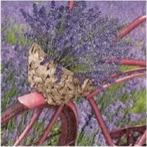 Szalvéta 33x33cm levendula bicikli