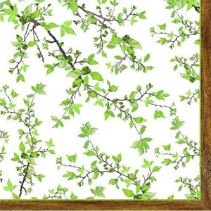 Szalvéta 33x33cm Natura