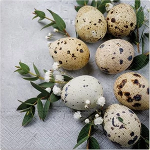 Szalvéta 33x33cm Natural eggs 20 db-os